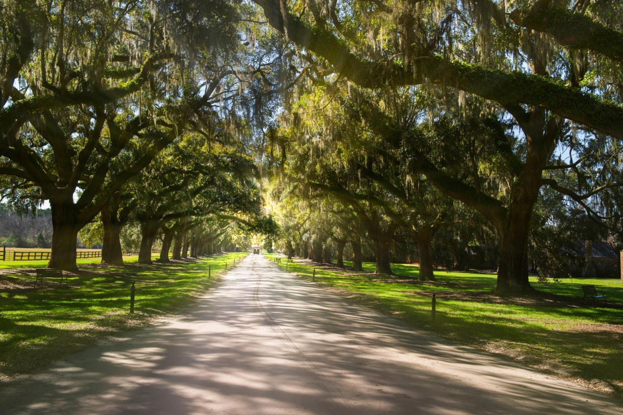 442 Oceanwoods Villa Kiawah Island Luaran gambar
